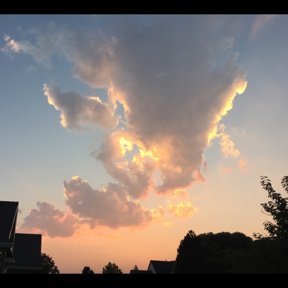 hello love π¦ - Picture 5 of 8